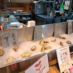 メリケンサカナ - 