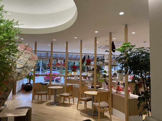 お菓子の蔵 太郎庵 鶴ヶ城前店 - 西若松（スイーツ）の写真