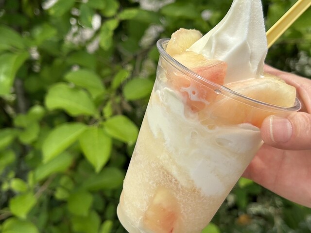 あづま果樹園 - 平野（その他）の写真