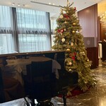 銀座 ハプスブルク・ファイルヒェン - クリスマスツリー　グランドピアノもあります♪