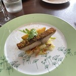 701 - 千葉県産ツムブリのサルタート 白菜と国産カラスミ