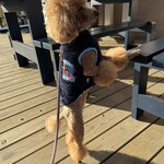 BLUE SIX COFFEE - シェリ①