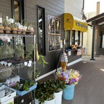 ソフト＆ドリーム - 