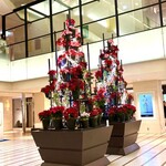 代官山ASO チェレステ - 