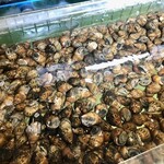 まっちゃん食堂 - 