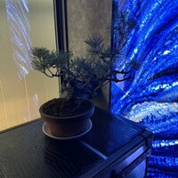 HIKARI - 
