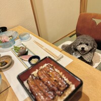 日本料理 銀座 萬菊 - 