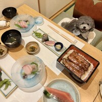 日本料理 銀座 萬菊 - 