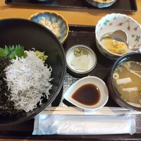 お料理 とみやま - ねぎとろシラス丼御膳