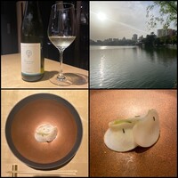 TTOAHISU - 