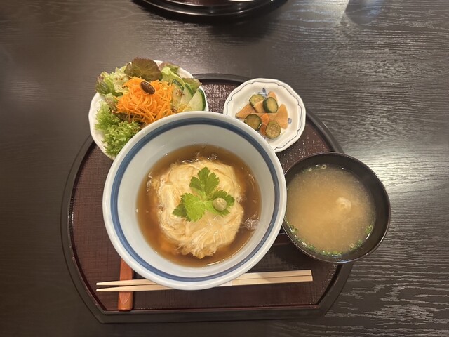 100%植物性の湯葉丼 : べじぷらすの写真