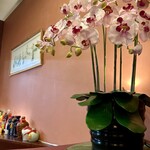 中華風家庭料理 ふーみん - 