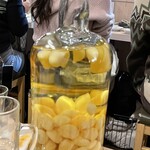 モツの朝立ち - 