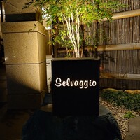 Selvaggio - 