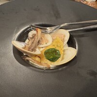 ザ コロネーション - 