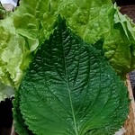 サムギョプサルと韓国酒場 テジヤ - 