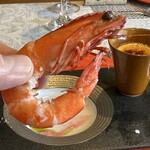 ビストロ セレニテ - 