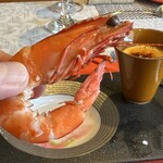 ビストロ セレニテ - 