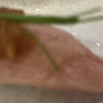 すしざんまい匠・極 - 