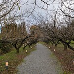 梅窓庵 - 梅の花が満開の時を想像しながら抜けた先に「梅窓庵さん」があります