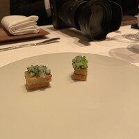 カンテサンス - 