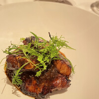 カンテサンス - 