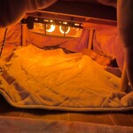 田渕商店 - おこたつの中