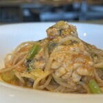 テアトロ ディ マッサ - 