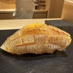 あま木 - 春子鯛　