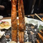 十方夷第 - 