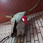 一条流がんこ総本家分家四谷荒木町 - 