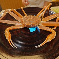 金澤 かが美 - 