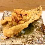 穴子料理と地酒 浅草 川井 - 