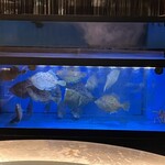 湘南ゆるり。 みなとみらい店 - 