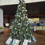 クッチーナ セラーレ - 