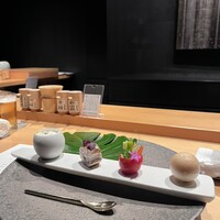 シブ ニシナカス - 