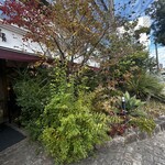 ムッシムパネン - 