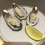 Mr.Porcino - 生牡蠣