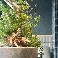 まるや本店 銀座グラッセ - 