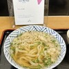 うどん さか枝