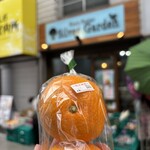 シルバー ガーデン - 