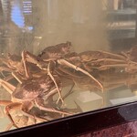 石川のうまいもんと地酒 加賀里火 小松駅前店 - 