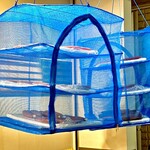 味ひろ - 店頭の唐墨