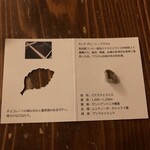 珈琲専門店 三十間 - 