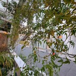 ショウゾウ コーヒー ストア - 