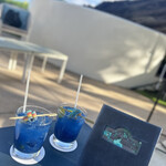 House Without a Key - 