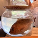 日本料理 別府 廣門 - 