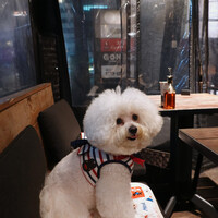 ピッツェリア&トラットリア ゴンゾ 目黒店 - お隣のカップルが帰って一枚