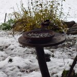 くつきそば 永昌庵 - 