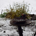 くつきそば 永昌庵 - 